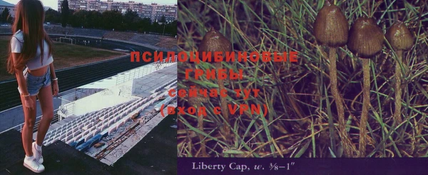 СК Балабаново