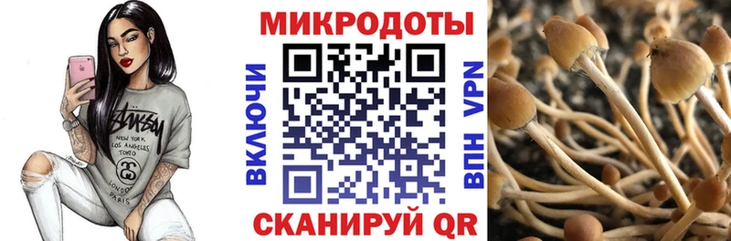 Галлюциногенные грибы мицелий  Верхний Тагил 